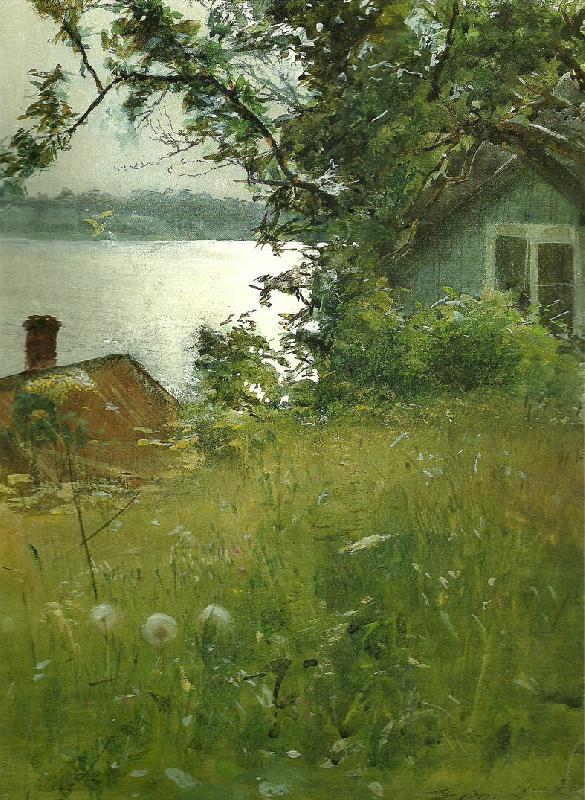 Anders Zorn junikvall